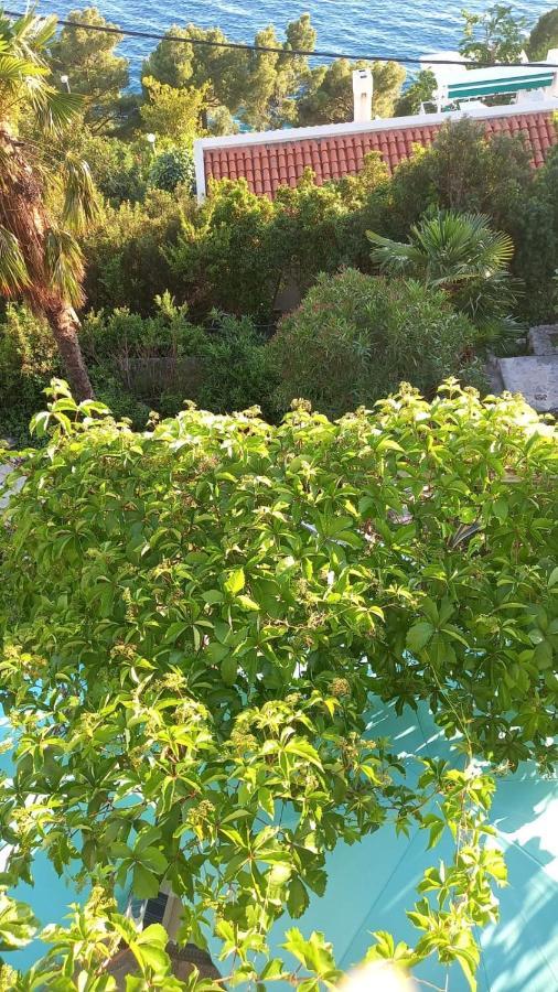 Apartments Tolic Baška Voda المظهر الخارجي الصورة