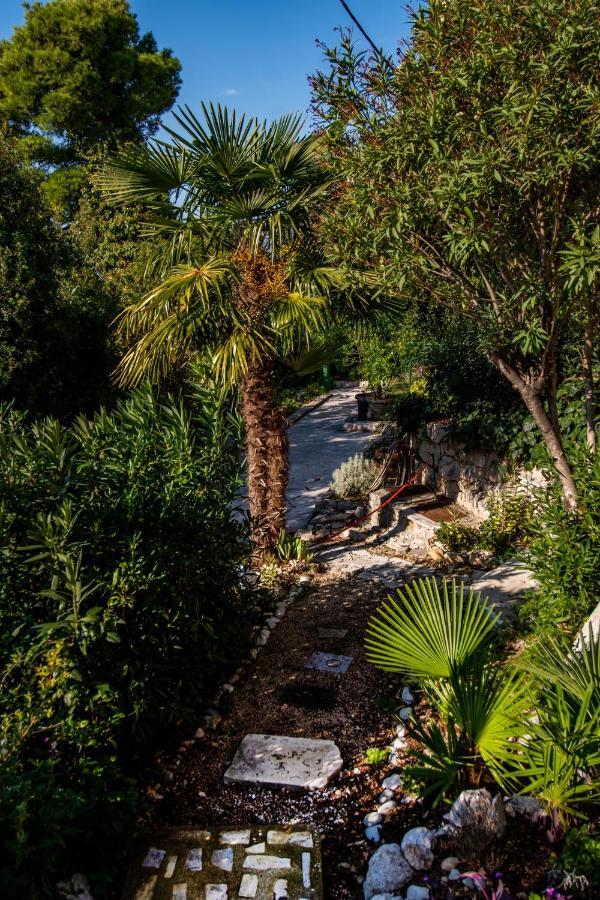 Apartments Tolic Baška Voda المظهر الخارجي الصورة