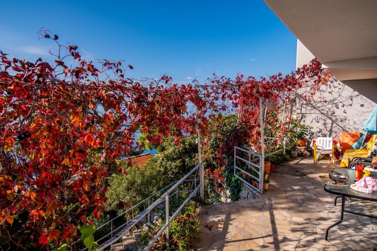 Apartments Tolic Baška Voda المظهر الخارجي الصورة