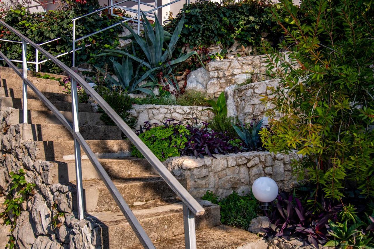Apartments Tolic Baška Voda المظهر الخارجي الصورة