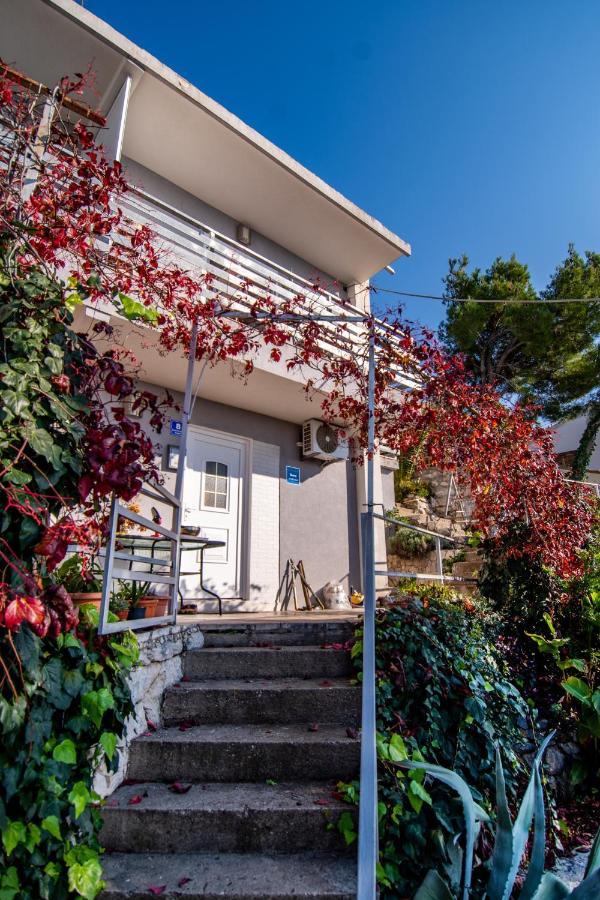 Apartments Tolic Baška Voda المظهر الخارجي الصورة